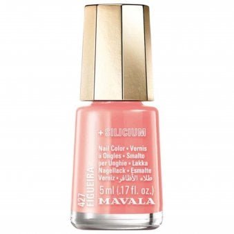 Mini Colour Delight 2022 Breathable Mini Nail Polish - Figueira 5ml (427)